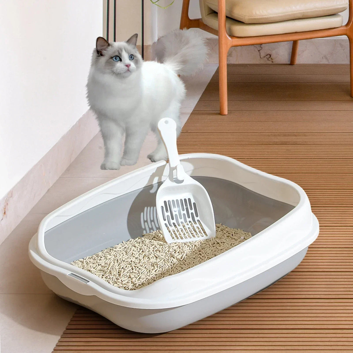 Semi-Enclosed Cat Litter Box